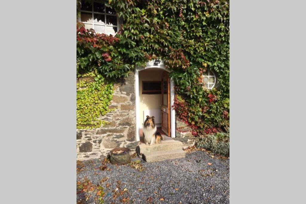The Byre . Διαμέρισμα Dromore  Εξωτερικό φωτογραφία